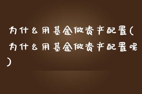 为什么用基金做资产配置(为什么用基金做资产配置呢)_https://www.zghnxxa.com_国际期货_第1张