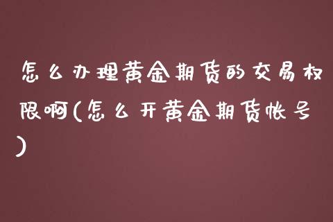 怎么办理黄金期货的交易权限啊(怎么开黄金期货帐号)_https://www.zghnxxa.com_黄金期货_第1张