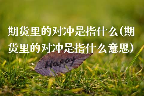 期货里的对冲是指什么(期货里的对冲是指什么意思)_https://www.zghnxxa.com_期货直播室_第1张