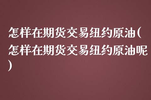 怎样在期货交易纽约原油(怎样在期货交易纽约原油呢)_https://www.zghnxxa.com_黄金期货_第1张