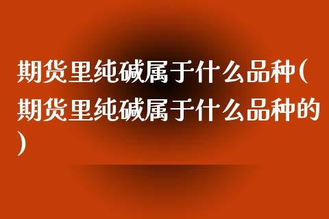 期货里纯碱属于什么品种(期货里纯碱属于什么品种的)_https://www.zghnxxa.com_内盘期货_第1张