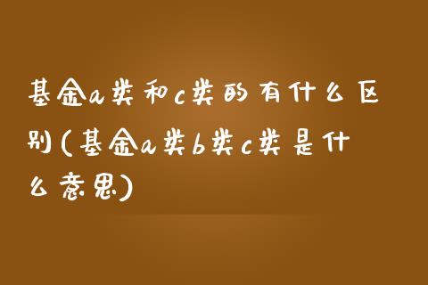 基金a类和c类的有什么区别(基金a类b类c类是什么意思)_https://www.zghnxxa.com_内盘期货_第1张