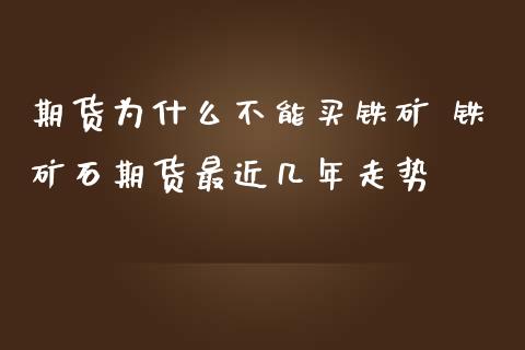 期货为什么不能买铁矿 铁矿石期货最近几年走势_https://www.zghnxxa.com_内盘期货_第1张