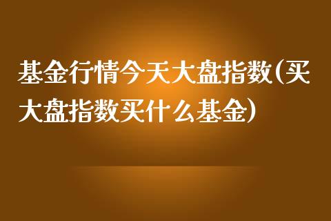 基金行情今天大盘指数(买大盘指数买什么基金)_https://www.zghnxxa.com_期货直播室_第1张