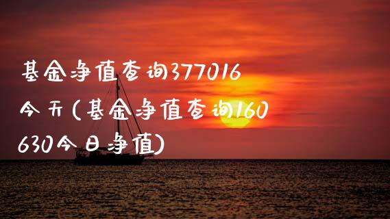 基金净值查询377016今天(基金净值查询160630今日净值)_https://www.zghnxxa.com_内盘期货_第1张