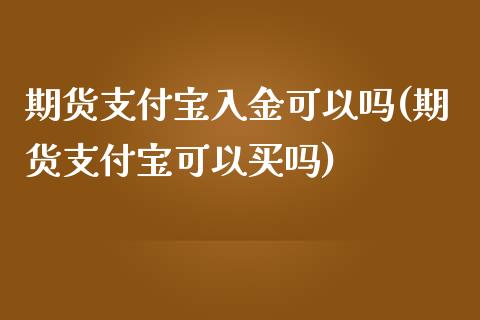 期货支付宝入金可以吗(期货支付宝可以买吗)_https://www.zghnxxa.com_国际期货_第1张