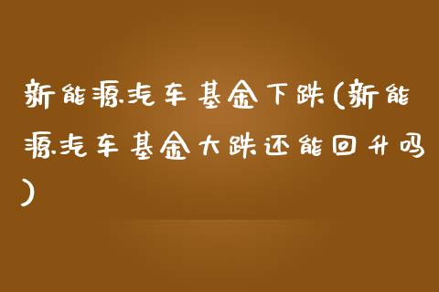 新能源汽车基金下跌(新能源汽车基金大跌还能回升吗)_https://www.zghnxxa.com_黄金期货_第1张