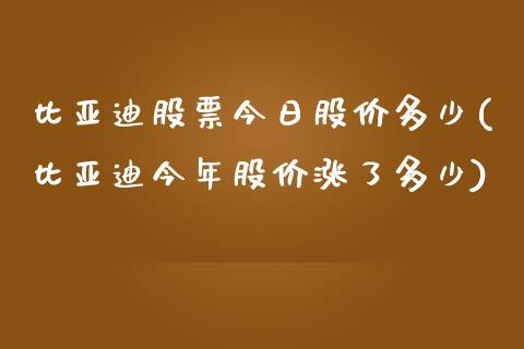 比亚迪股票今日股价多少(比亚迪今年股价涨了多少)_https://www.zghnxxa.com_黄金期货_第1张