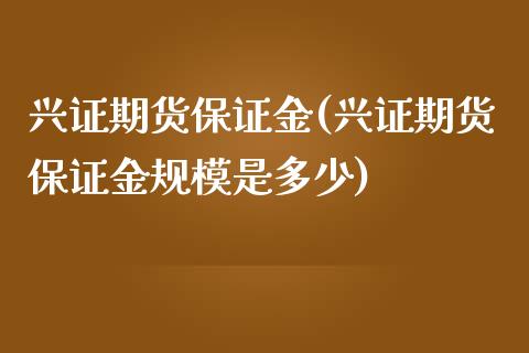 兴证期货保证金(兴证期货保证金规模是多少)_https://www.zghnxxa.com_国际期货_第1张