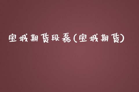 宝城期货段磊(宝城期货)_https://www.zghnxxa.com_国际期货_第1张