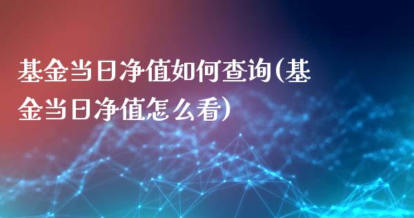 基金当日净值如何查询(基金当日净值怎么看)_https://www.zghnxxa.com_内盘期货_第1张