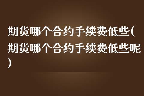 期货哪个合约手续费低些(期货哪个合约手续费低些呢)_https://www.zghnxxa.com_黄金期货_第1张