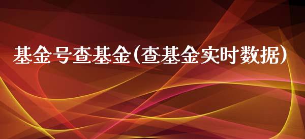 基金号查基金(查基金实时数据)_https://www.zghnxxa.com_内盘期货_第1张