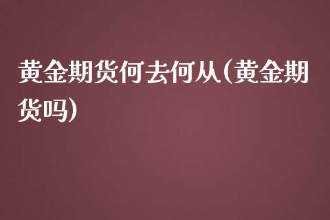 黄金期货何去何从(黄金期货吗)_https://www.zghnxxa.com_黄金期货_第1张