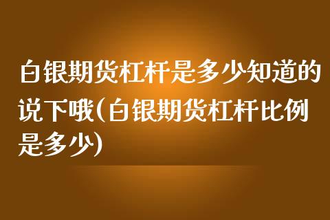 白银期货杠杆是多少知道的说下哦(白银期货杠杆比例是多少)_https://www.zghnxxa.com_国际期货_第1张