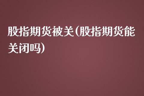 股指期货被关(股指期货能关闭吗)_https://www.zghnxxa.com_内盘期货_第1张