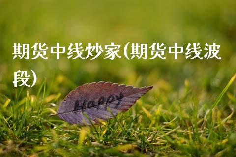 期货中线炒家(期货中线波段)_https://www.zghnxxa.com_黄金期货_第1张