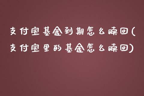 支付宝基金到期怎么赎回(支付宝里的基金怎么赎回)_https://www.zghnxxa.com_国际期货_第1张