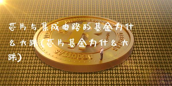 芯片与集成电路的基金为什么大跌(芯片基金为什么大跌)_https://www.zghnxxa.com_内盘期货_第1张