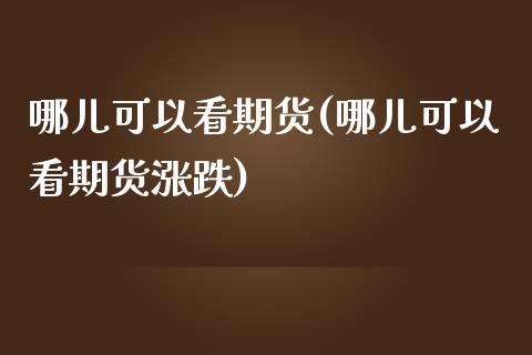 哪儿可以看期货(哪儿可以看期货涨跌)_https://www.zghnxxa.com_期货直播室_第1张