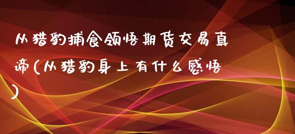 从猎豹捕食领悟期货交易真谛(从猎豹身上有什么感悟)_https://www.zghnxxa.com_国际期货_第1张