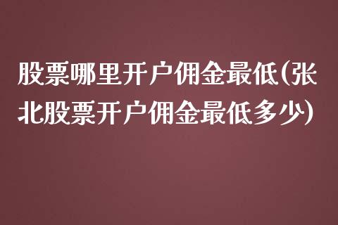 股票哪里开户佣金最低(张北股票开户佣金最低多少)_https://www.zghnxxa.com_内盘期货_第1张