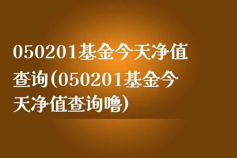 050201基金今天净值查询(050201基金今天净值查询噜)_https://www.zghnxxa.com_黄金期货_第1张