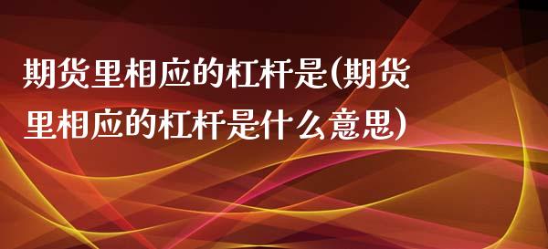 期货里相应的杠杆是(期货里相应的杠杆是什么意思)_https://www.zghnxxa.com_国际期货_第1张