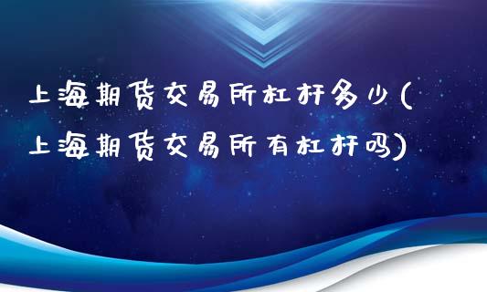 上海期货交易所杠杆多少(上海期货交易所有杠杆吗)_https://www.zghnxxa.com_内盘期货_第1张