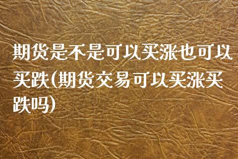 期货是不是可以买涨也可以买跌(期货交易可以买涨买跌吗)_https://www.zghnxxa.com_国际期货_第1张