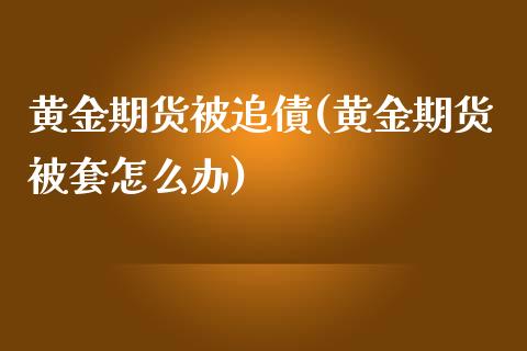 黄金期货被追債(黄金期货被套怎么办)_https://www.zghnxxa.com_内盘期货_第1张