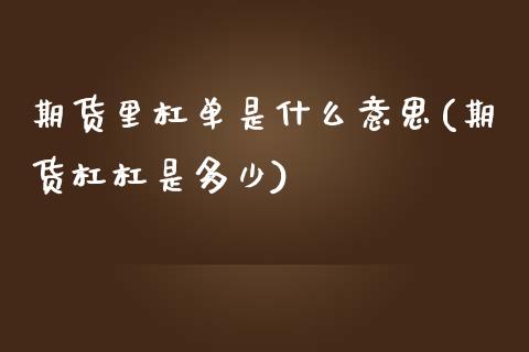 期货里杠单是什么意思(期货杠杠是多少)_https://www.zghnxxa.com_国际期货_第1张