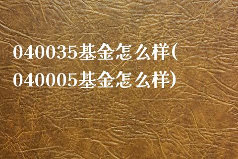 040035基金怎么样(040005基金怎么样)_https://www.zghnxxa.com_黄金期货_第1张