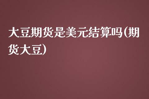 大豆期货是美元结算吗(期货大豆)_https://www.zghnxxa.com_国际期货_第1张