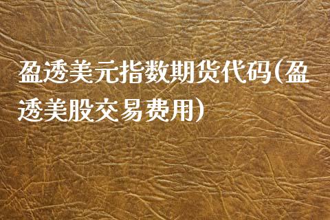 盈透美元指数期货代码(盈透美股交易费用)_https://www.zghnxxa.com_内盘期货_第1张