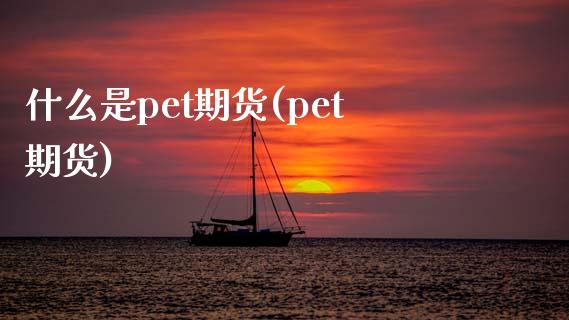 什么是pet期货(pet期货)_https://www.zghnxxa.com_黄金期货_第1张