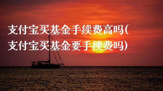 支付宝买基金手续费高吗(支付宝买基金要手续费吗)_https://www.zghnxxa.com_国际期货_第1张