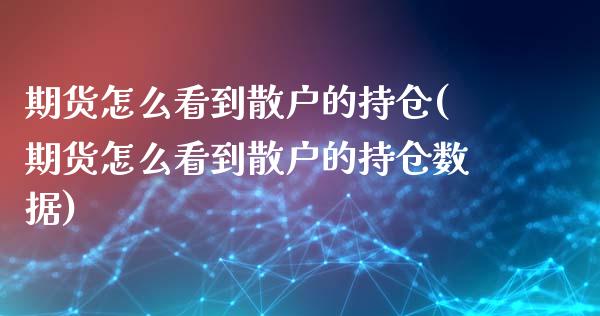 期货怎么看到散户的持仓(期货怎么看到散户的持仓数据)_https://www.zghnxxa.com_期货直播室_第1张